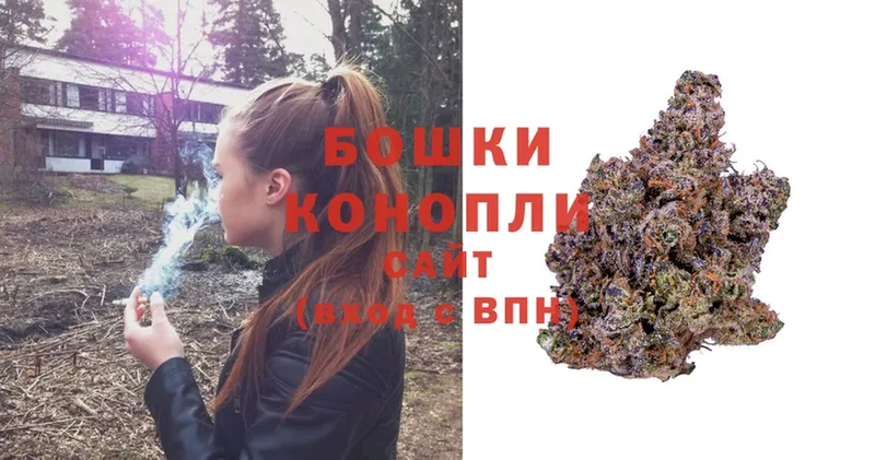 shop какой сайт  Североморск  Бошки марихуана SATIVA & INDICA 